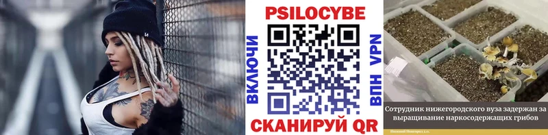 Псилоцибиновые грибы GOLDEN TEACHER  Гаврилов-Ям 